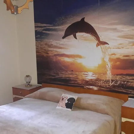 Lili * Novigrad Istria