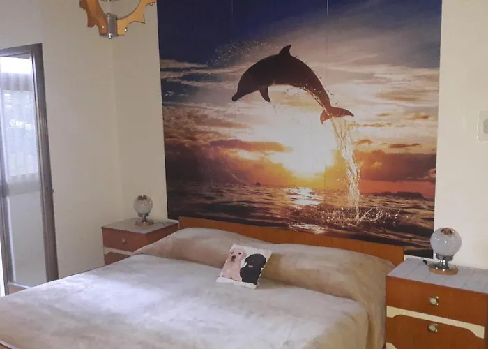 Lili * Novigrad Istria